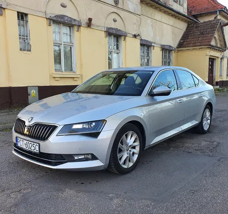 samochody osobowe Skoda Superb cena 59040 przebieg: 230590, rok produkcji 2017 z Czarnków